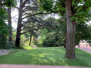 saccinto caluire amenagement jardin gazon synthétique apres
